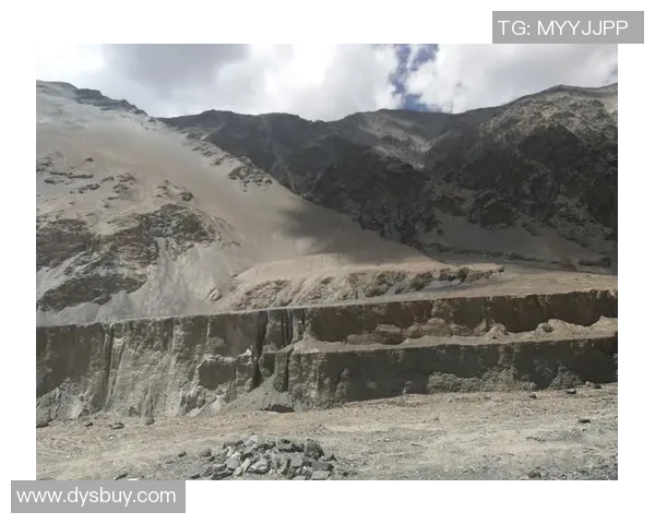 深度对话杨磊排球人生的成长与挑战之路探索